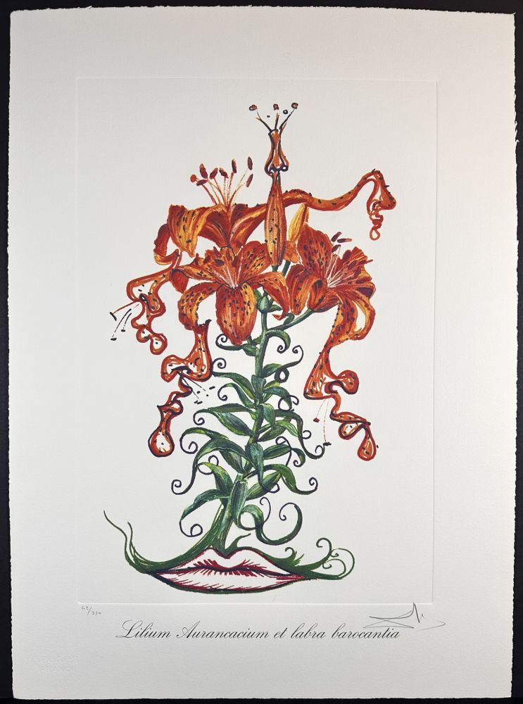 Etching Dali - Florals Tiger Lilies of The Theatre