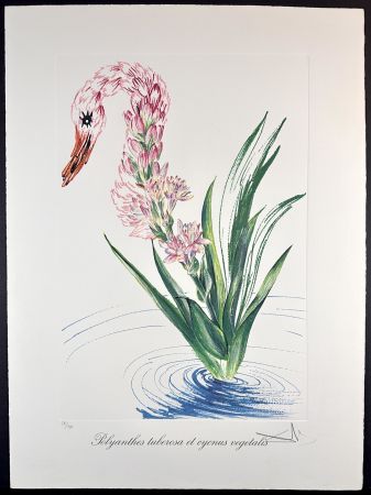 Etching Dali - Florals Water-Hybiscus Swan