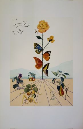 Lithograph Dali - Flordali II - La rose papillon