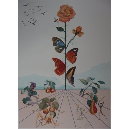 Lithograph Dali - Flordali II : la rose papillon