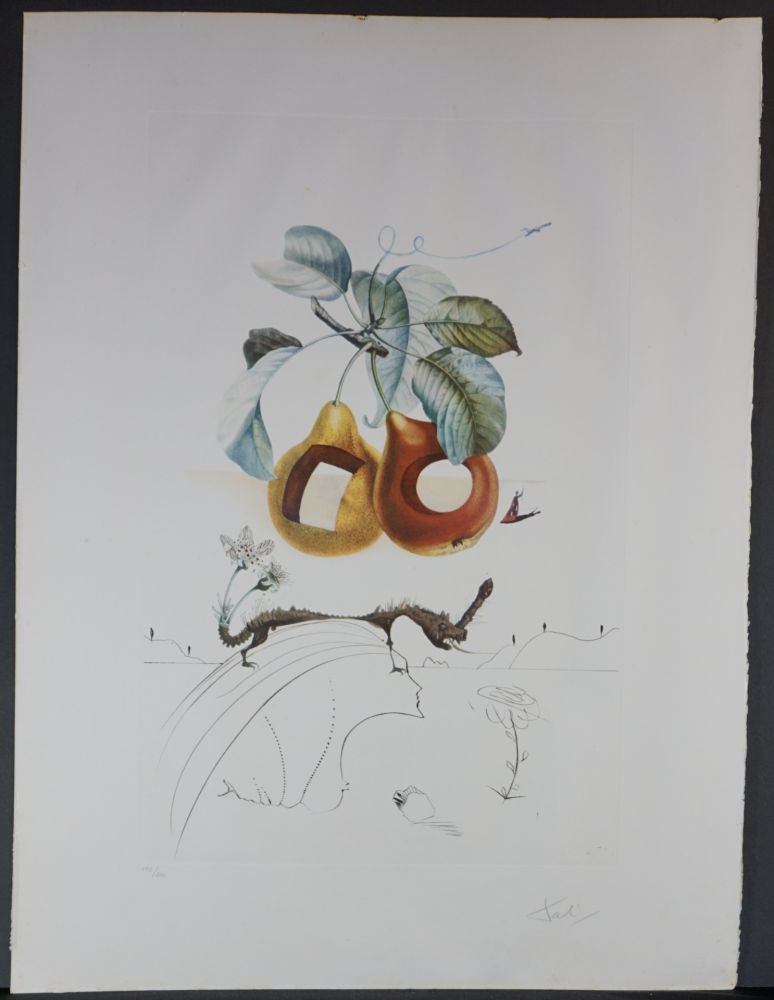 Etching Dali - FlorDali/Le Fruits Fruit With Holes