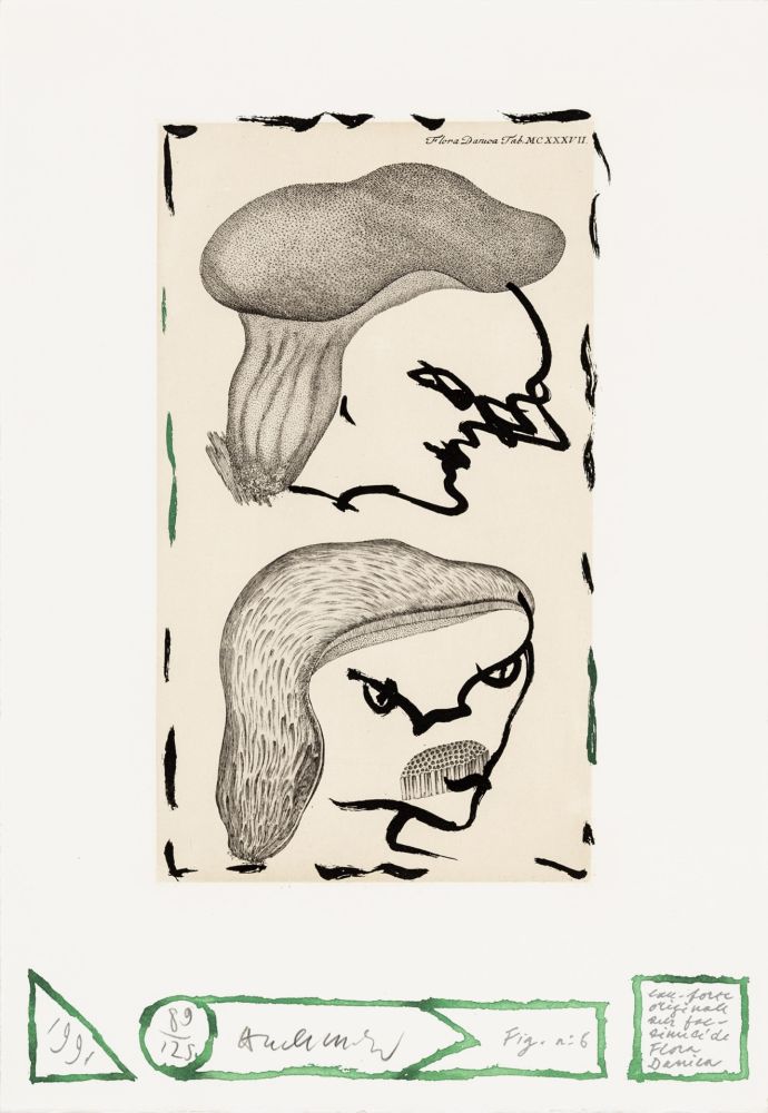 Engraving Alechinsky - Flore danoise 06 - Naissance des masques