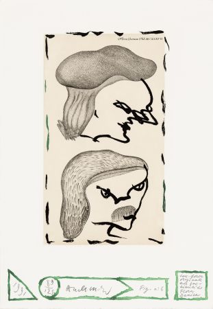 Engraving Alechinsky - Flore danoise 06 - Naissance des masques