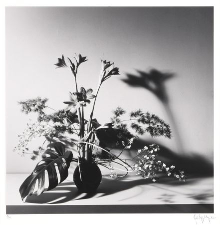 Photography Mapplethorpe - Flower Arrangement, N.Y.C.