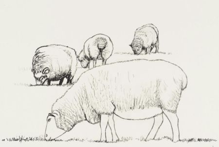 Lithograph Moore - Four Sheep Grazing