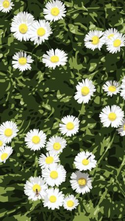 No Technical Opie - French Landscapes: Daisies