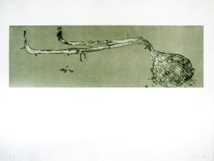 Etching And Aquatint Barcelo - Germe