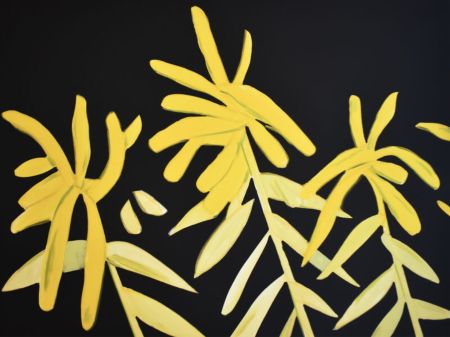 Multiple Katz - Goldenrod from Flowers Portfolio