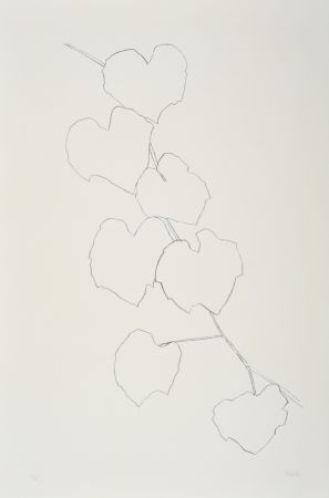 Lithograph Kelly - Grape Leaves II