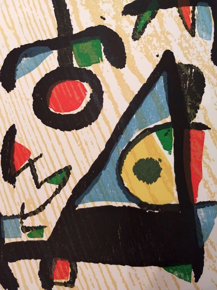 Illustrated Book Miró - Graveur 2