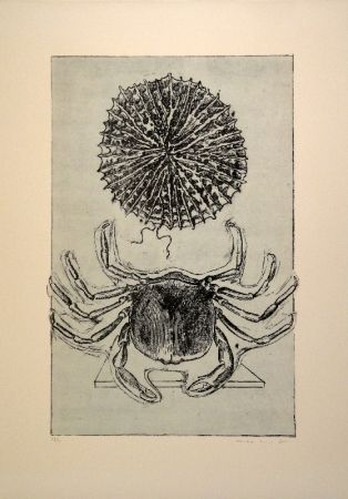 Illustrated Book Ernst - Histoire naturelle