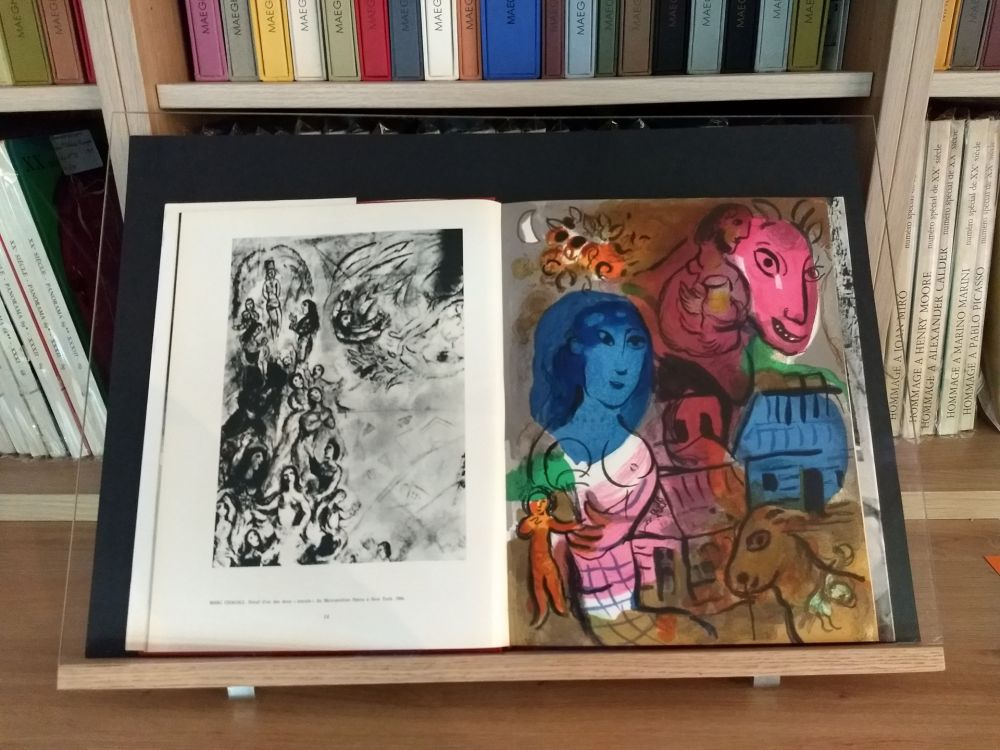 Illustrated Book Chagall - Hommage