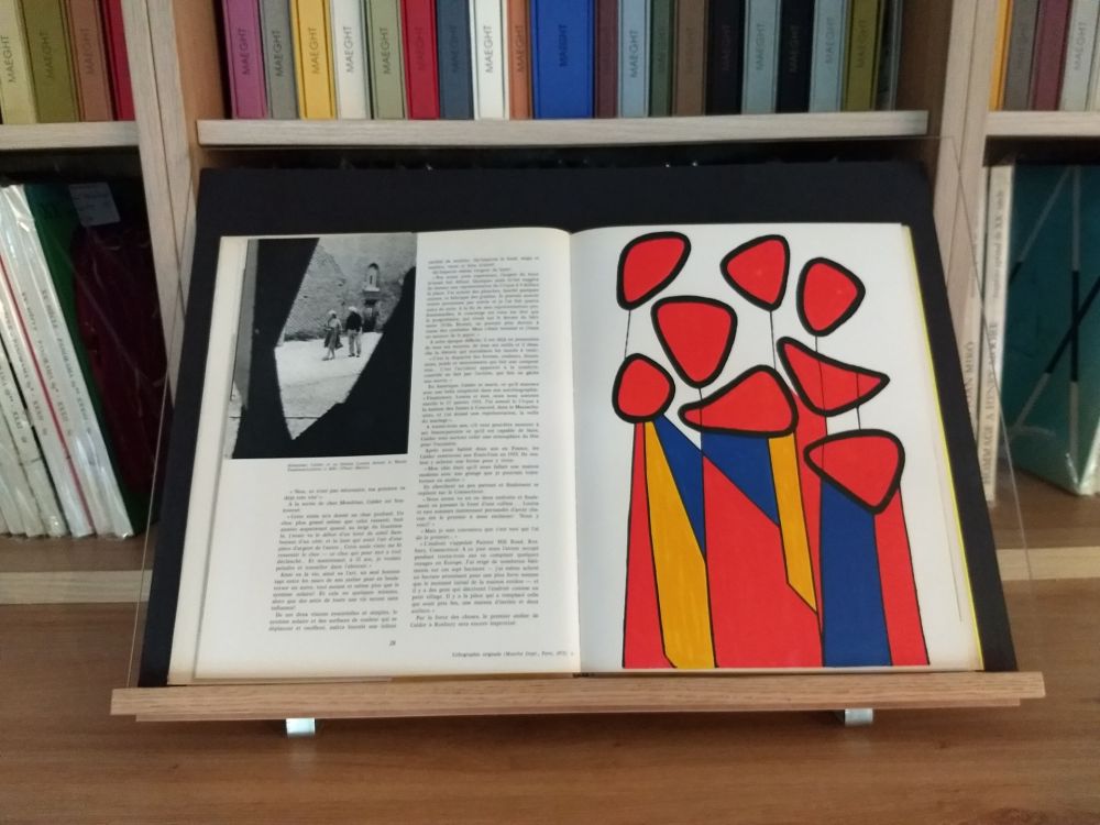 Illustrated Book Calder - Hommage