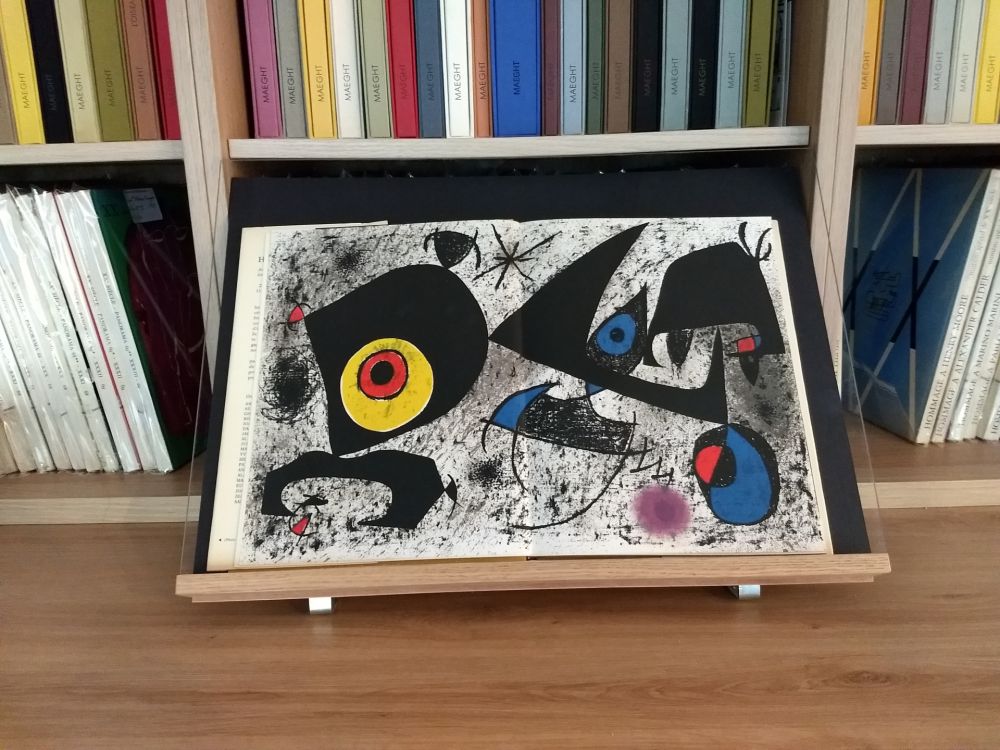 Illustrated Book Miró - Hommage