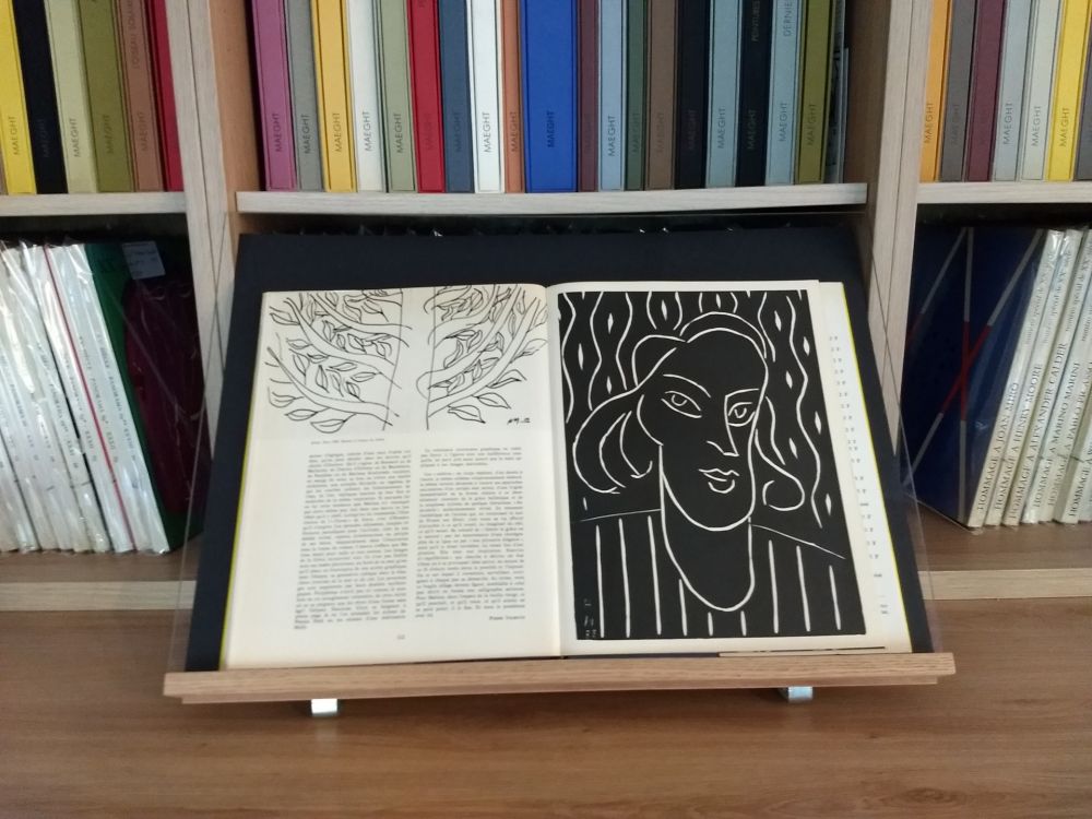 Illustrated Book Matisse - Hommage