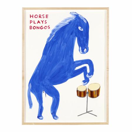 No Technical Shrigley -  Horse plays Bongos