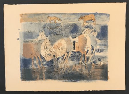 Lithograph Toledo - Horses