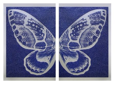 Screenprint Robierb - Hybrid Silver Butterfly l on Blue