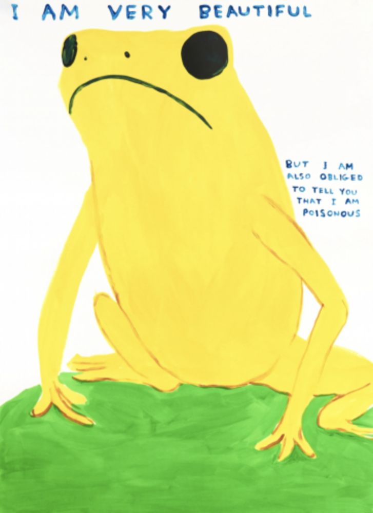 Screenprint Shrigley - I Am Very Beautiful
