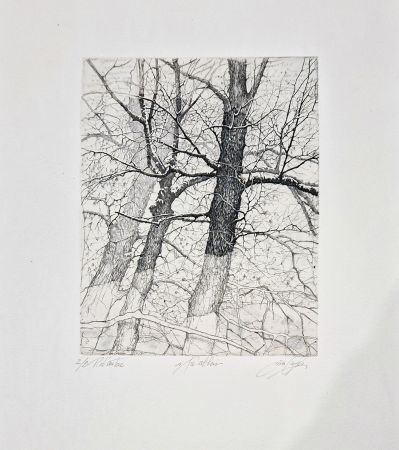 Engraving Ceschin - I tre alberi