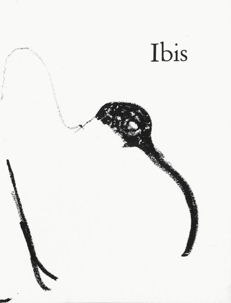 Lithograph Aillaud - Ibis