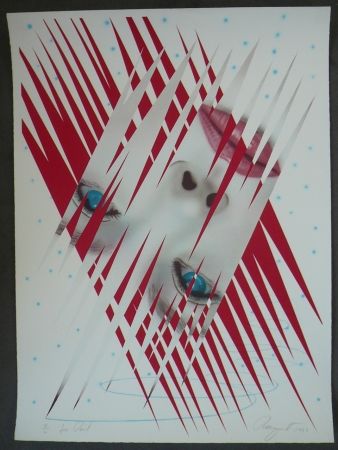 Lithograph Rosenquist - Ice Point