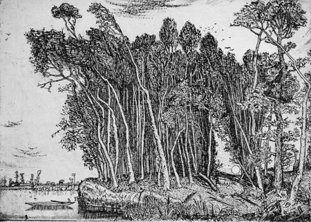 Engraving Bozzetti - Il bosco in riva al fiume: sera