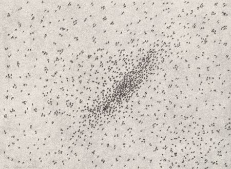 Lithograph Ruscha - Insect Slants (Ants)