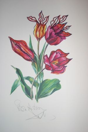 Lithograph Dali - Kissing Tulips (surrealistic flowers)