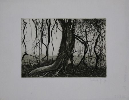 Etching And Aquatint Jäger - Knorriger Baum / Gnarled Tree