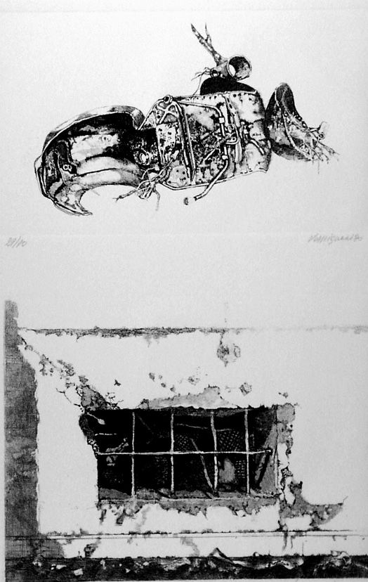 Engraving Vespignani - La carcassa - Finestra sul cortile
