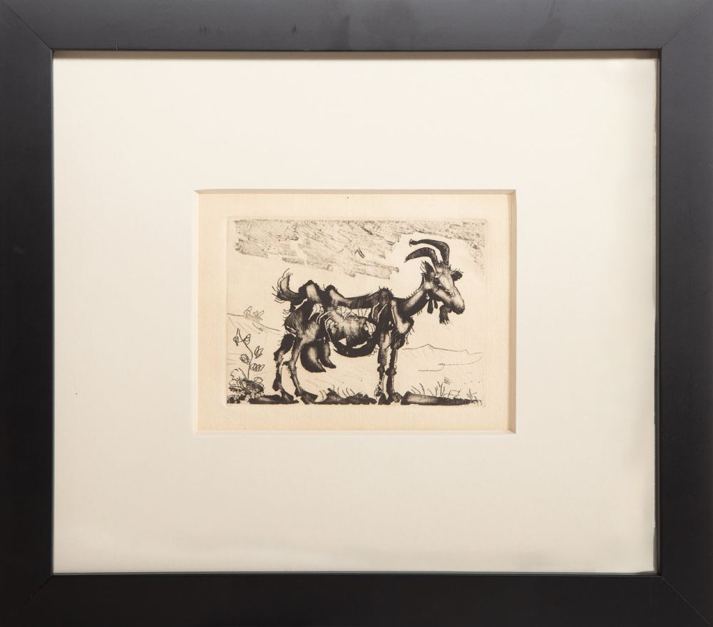 Aquatint Picasso - La Chevre