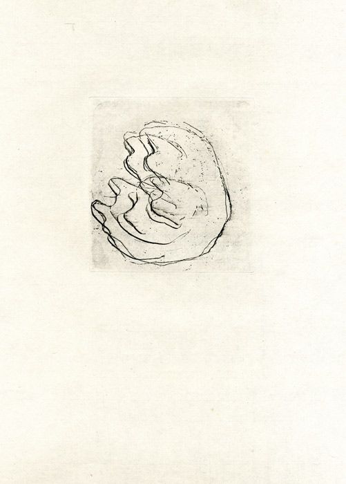 Engraving Fautrier - La Femme aux seins