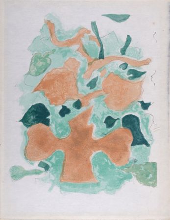 Lithograph Braque - La Forêt, 1963