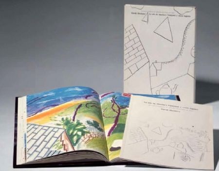 Illustrated Book Hockney -  La Isla de Martha Vineyard y otros lugares