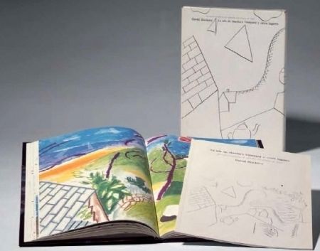Illustrated Book Hockney - La Isla de Martha Vineyard y otros lugares