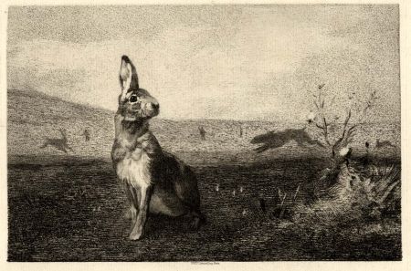 Etching Bracquemond - La lièvre (The Hare)