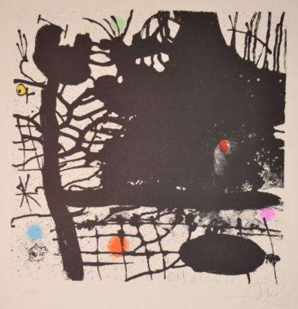 Lithograph Miró - La Nuit Tentaculaire - M639