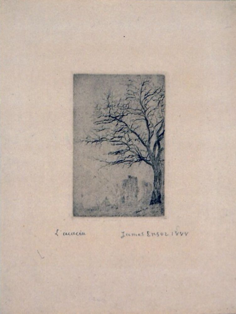 Drypoint Ensor - L'Acacia