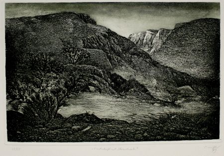Etching And Aquatint Müller - Landschaft mit Strauchwerk / Landscape with Bushes