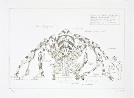 Lithograph Delarozière - L'araignée géante