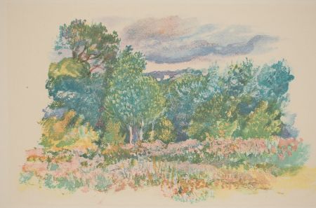 Lithograph Renoir - Le champs de fleur