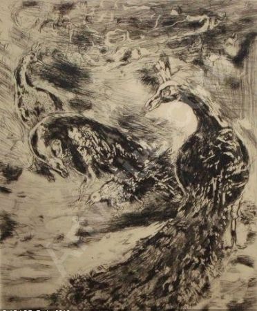 Etching And Aquatint Chagall - Le Geai Pare des Plumes du Paon