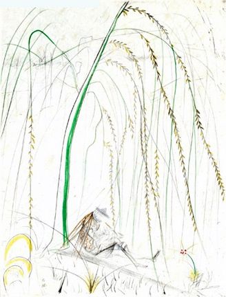 Etching Dali - Le Saule Pleurer (Weeping Willow)