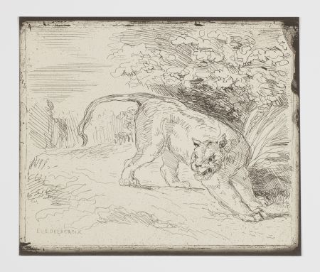 No Technical Delacroix - Le tigre en arrêt (A trapped tiger, also: 'Tiger at bay' or 'Tiger at a standstill')