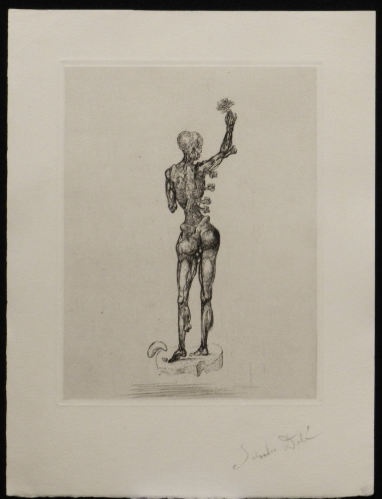 Etching Dali - Les Chantes de Maldoror The Triumph of The Rose