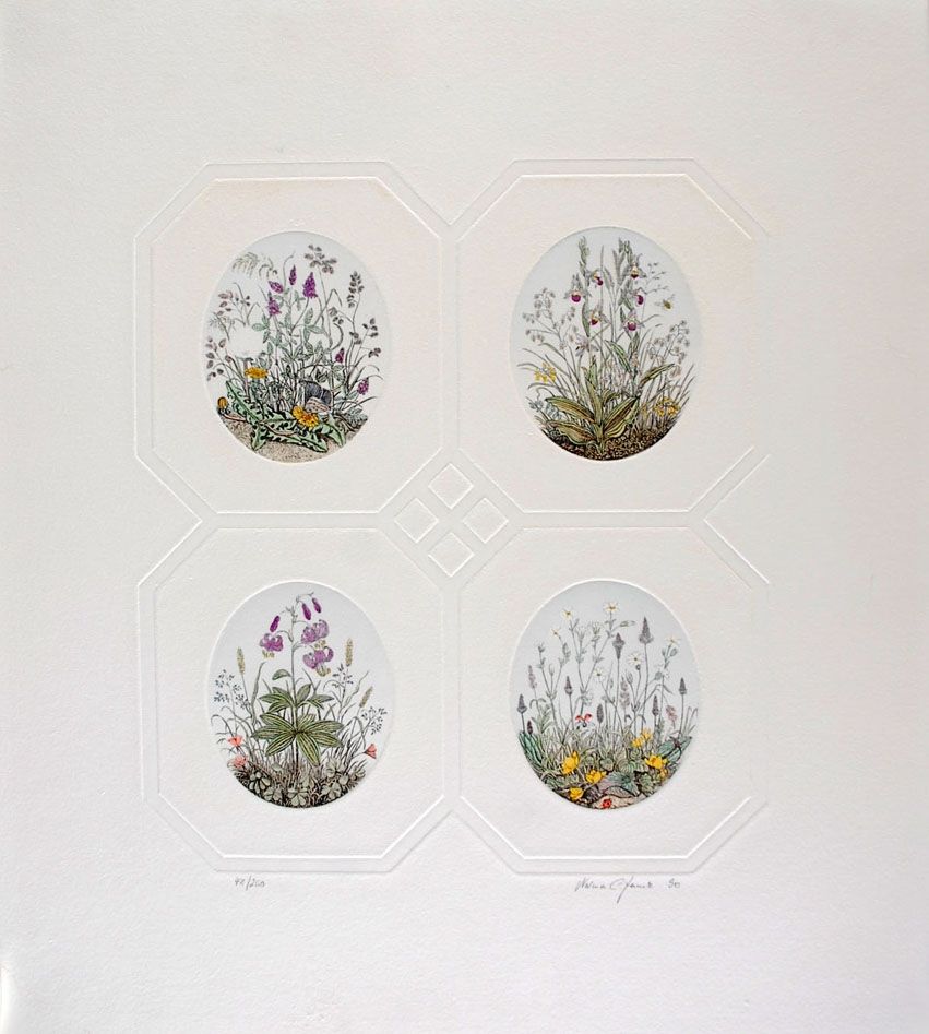Engraving Hauck - Les Fleurs - Flowers