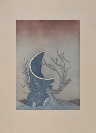 Etching And Aquatint Folon - Les Ruines circulaires V 
