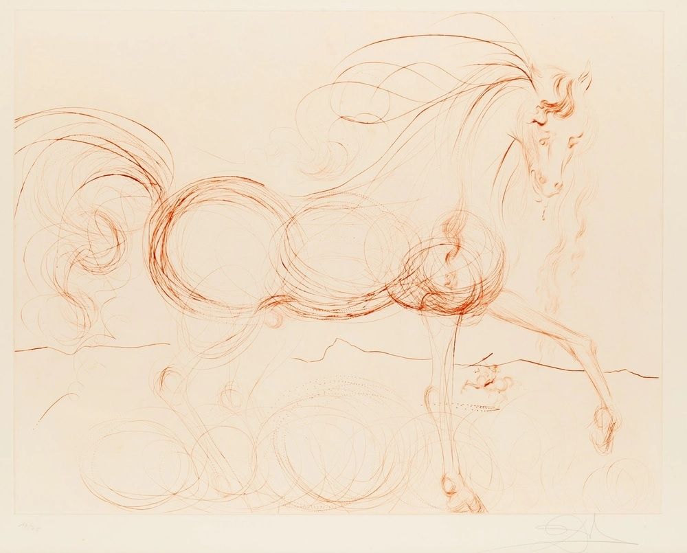 Etching And Aquatint Dali - L'Etalon Blanc (Hommage au cheval