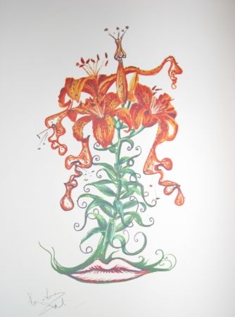 Lithograph Dali - Lilium aurancacium (surrealistic flowers)